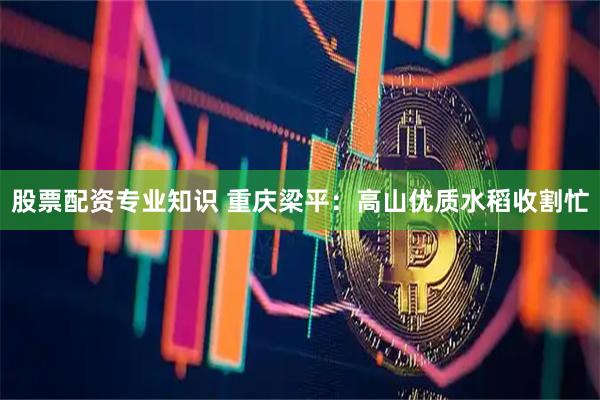 股票配资专业知识 重庆梁平：高山优质水稻收割忙