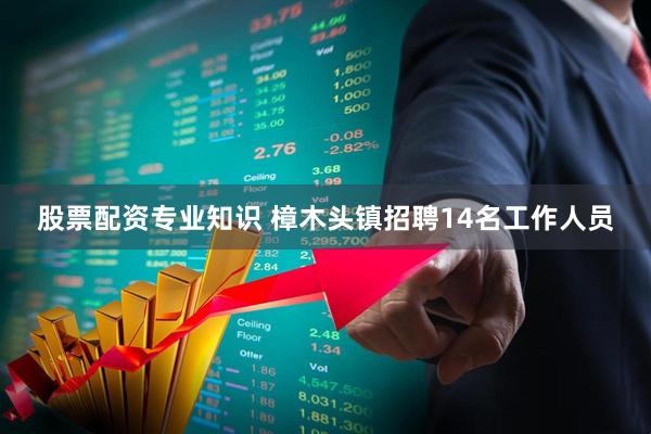 股票配资专业知识 樟木头镇招聘14名工作人员