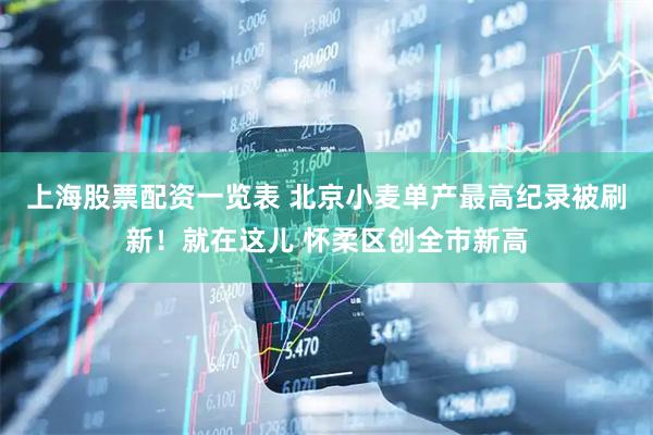 上海股票配资一览表 北京小麦单产最高纪录被刷新！就在这儿 怀柔区创全市新高